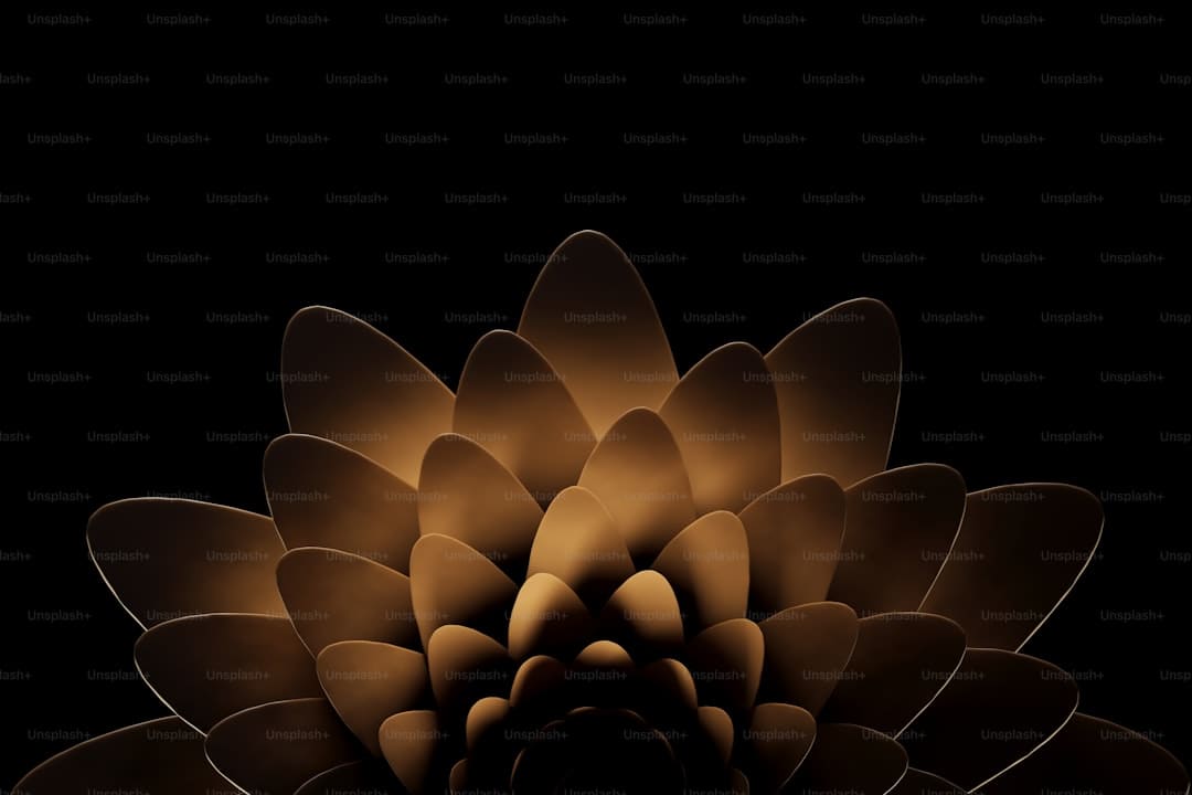 http://n.sinaimg.cn/translate/w899h600/20180310/80-d-fxpwyhw7719831.jpg?zdy