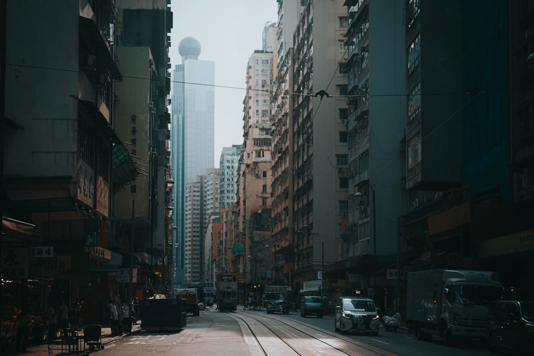 百万网友力挺!张柏芝在外网为祖国点赞!港台艺人独一份就该她火 内外网齐发爱国心